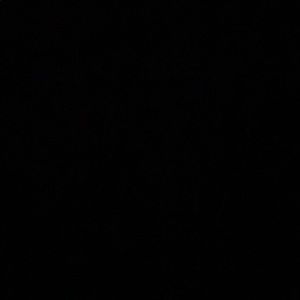 Meet your Posher, Bridget